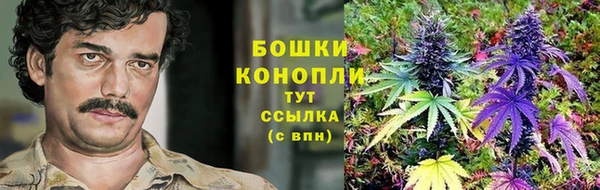 прущие крисы Дмитров