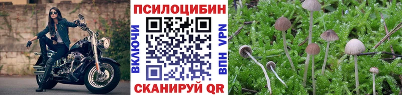 Галлюциногенные грибы Psilocybine cubensis Катав-Ивановск