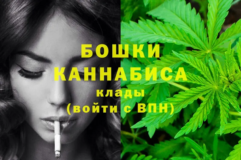 хочу   Катав-Ивановск  Шишки марихуана OG Kush 